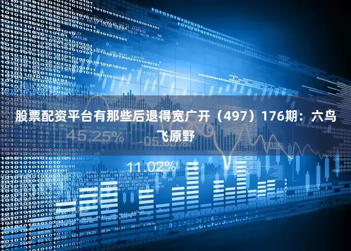 股票配资平台有那些后退得宽广开（497）　　176期：六鸟飞原野