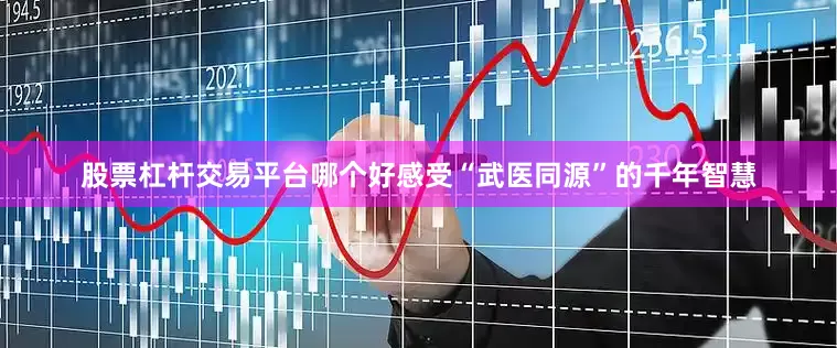 股票杠杆交易平台哪个好感受“武医同源”的千年智慧