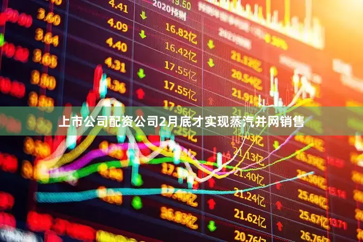上市公司配资公司2月底才实现蒸汽并网销售