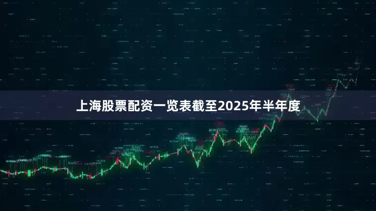 上海股票配资一览表截至2025年半年度